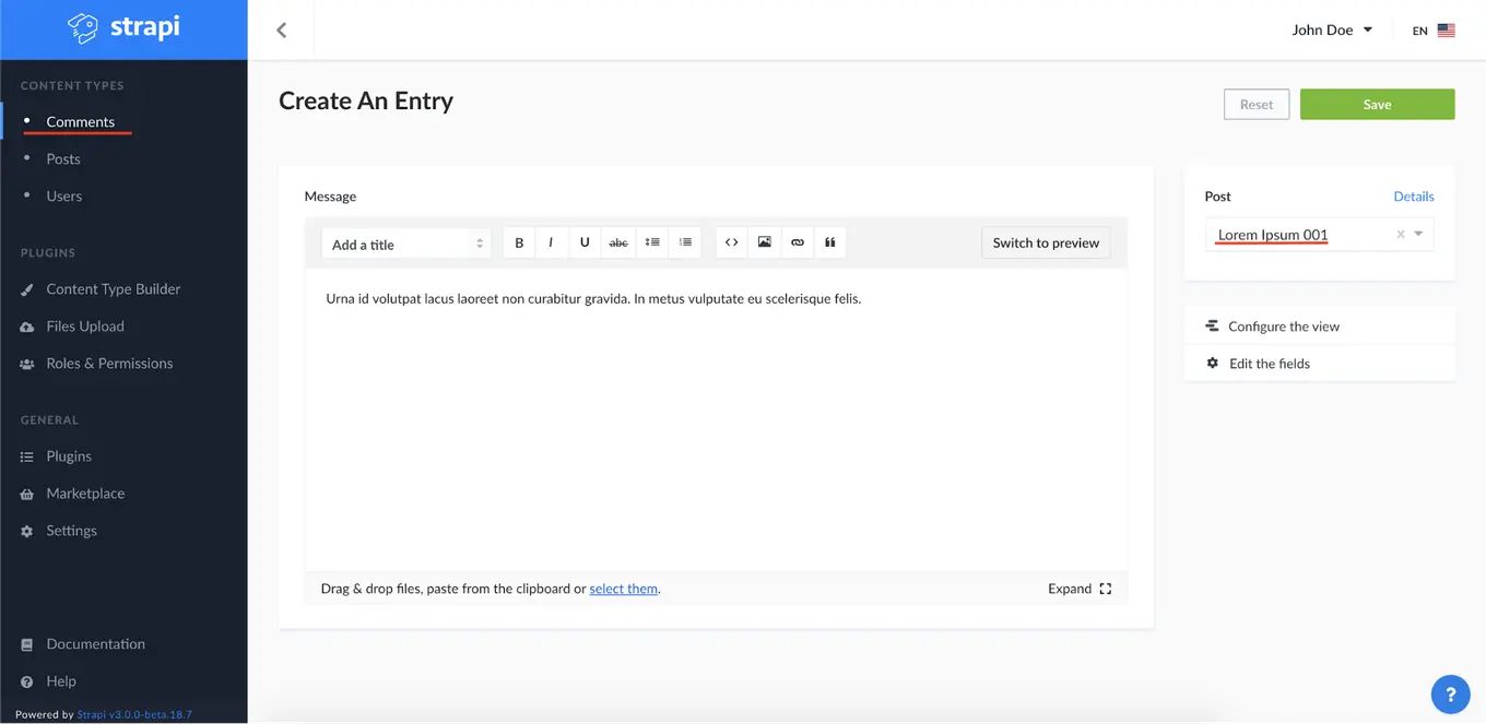 Screenshot of comment creation in Strapi