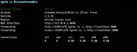 build slack app - a screenshot from ngrok app showing session status