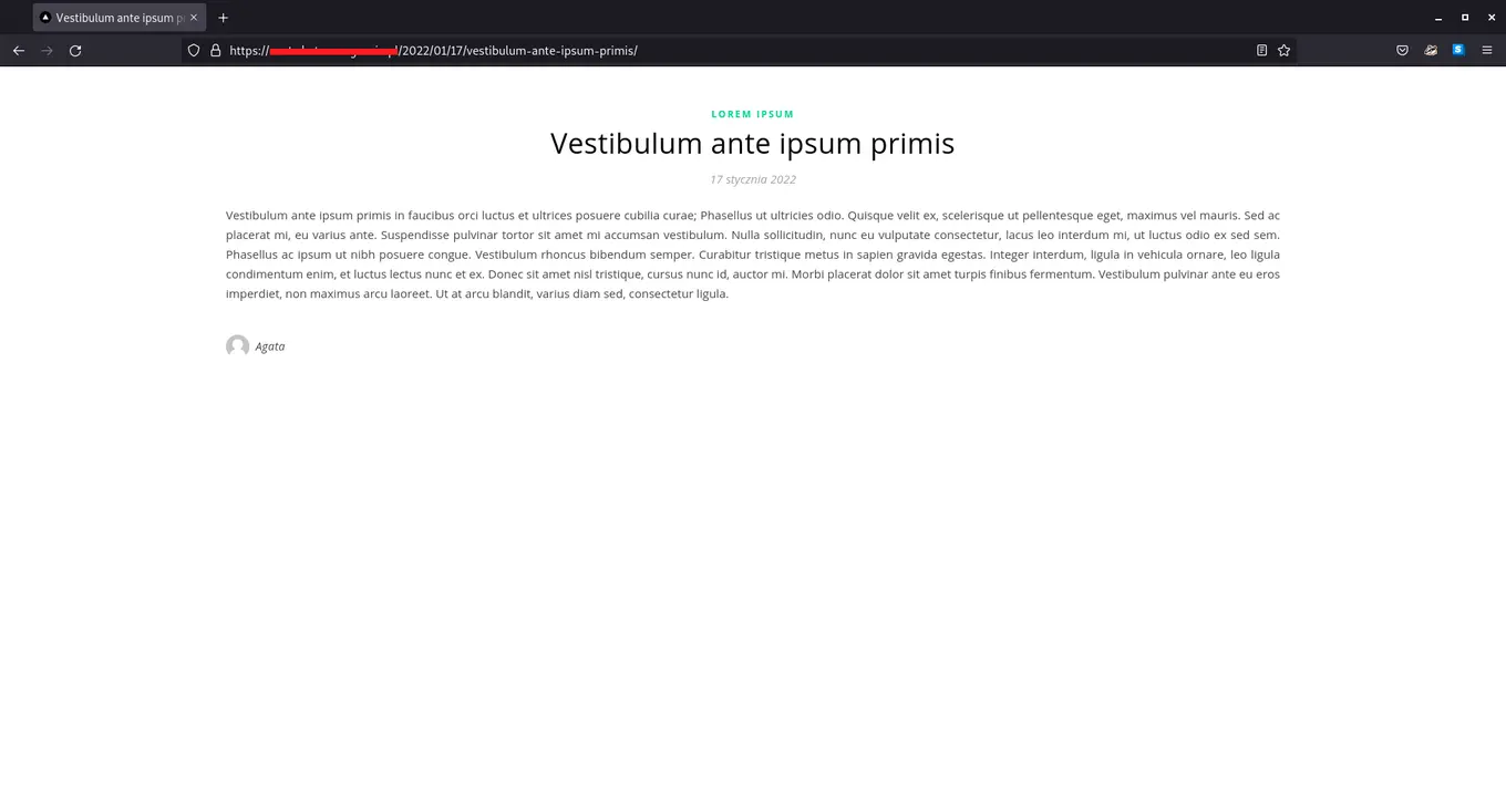 wordpress posts next.js screenshot