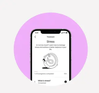 Internet-based Cognitive Behavioural Therapy program