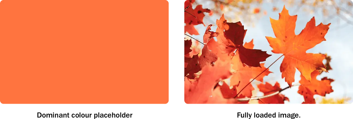 lazy loading placeholders example dominant colour fill