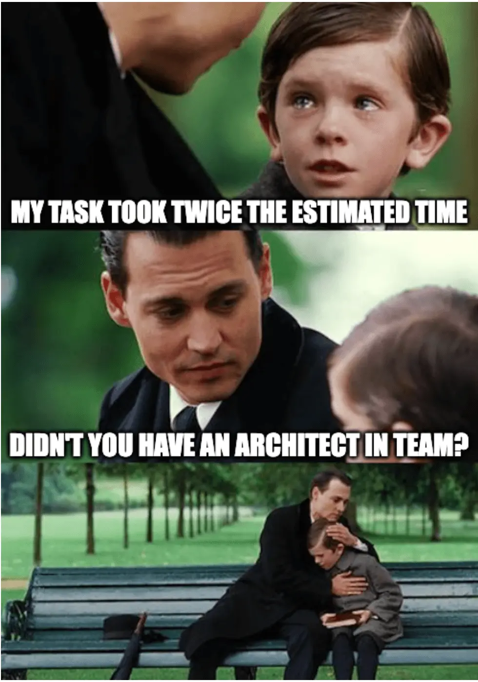 architect in team