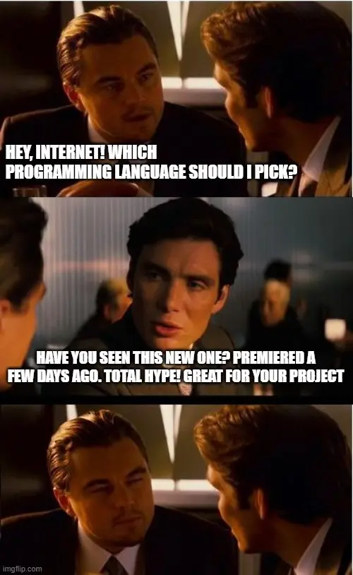 choosing programming language (like any new technologies) should include industry knowledge, business needs, software architecture of the custom solutions