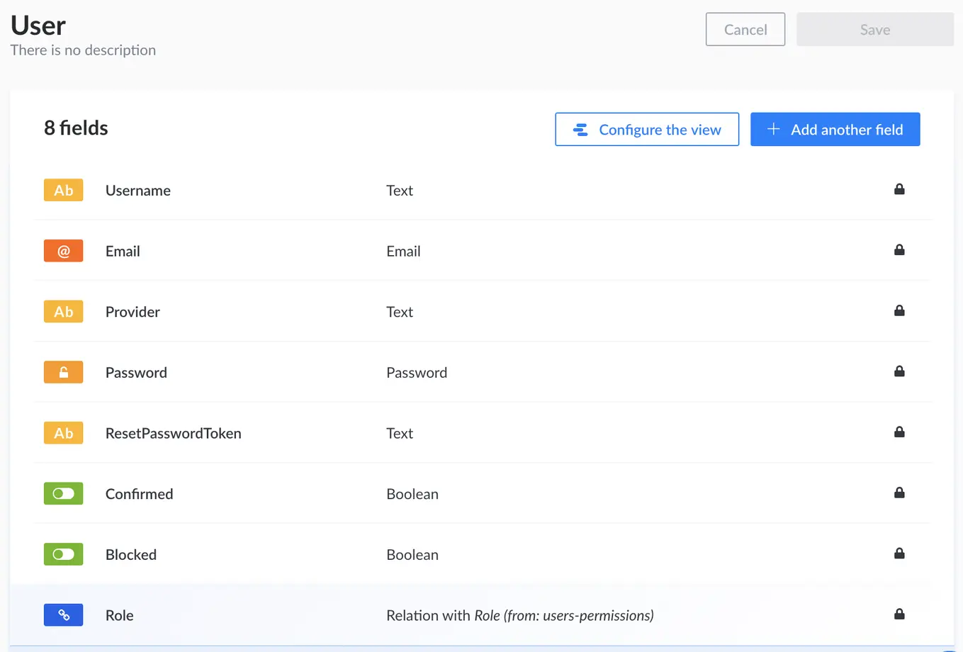 A screenshot of a user type view in Strapi