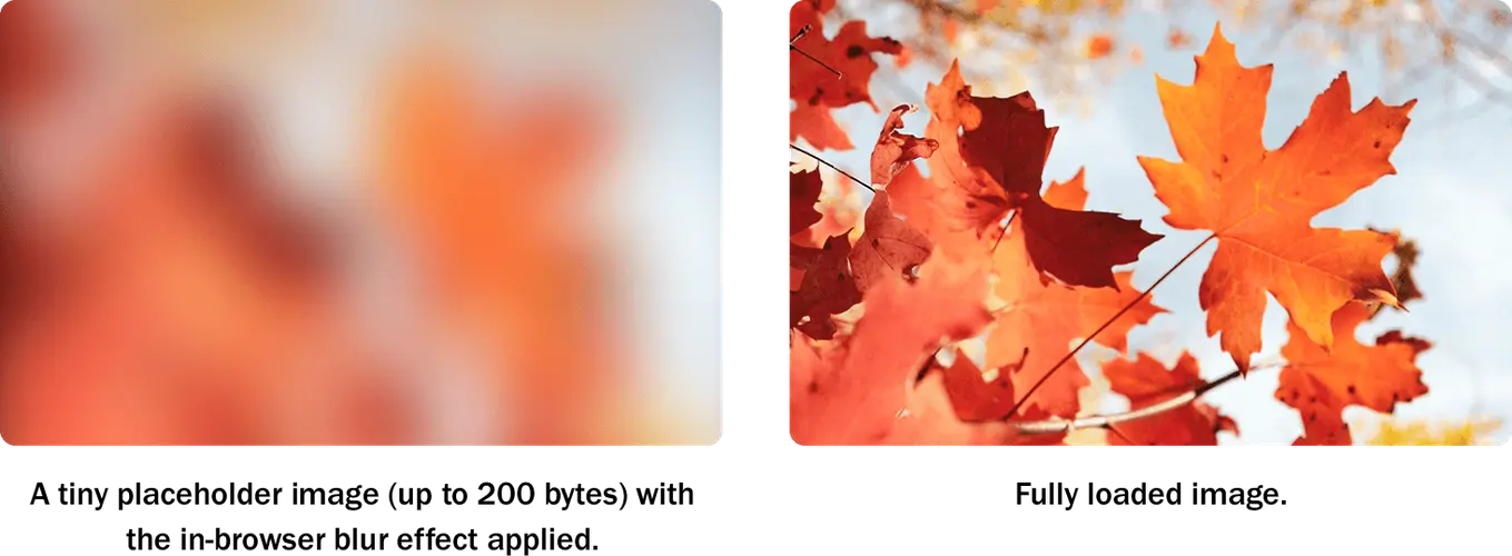 lazy loading placeholders example