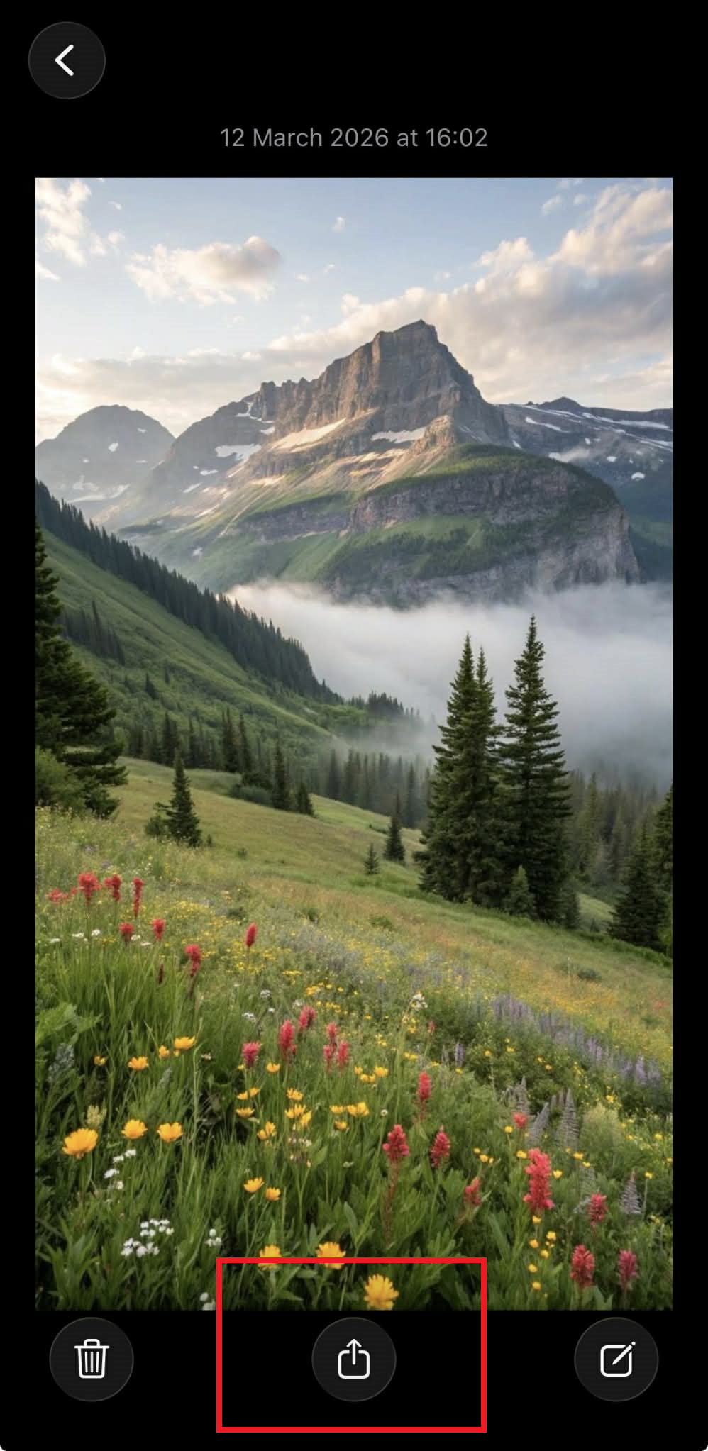 How to Convert Pictures to PDF on iPhone: Complete 2026 Guide iPhone Notes interface highlighting the Share icon below an inserted photo.