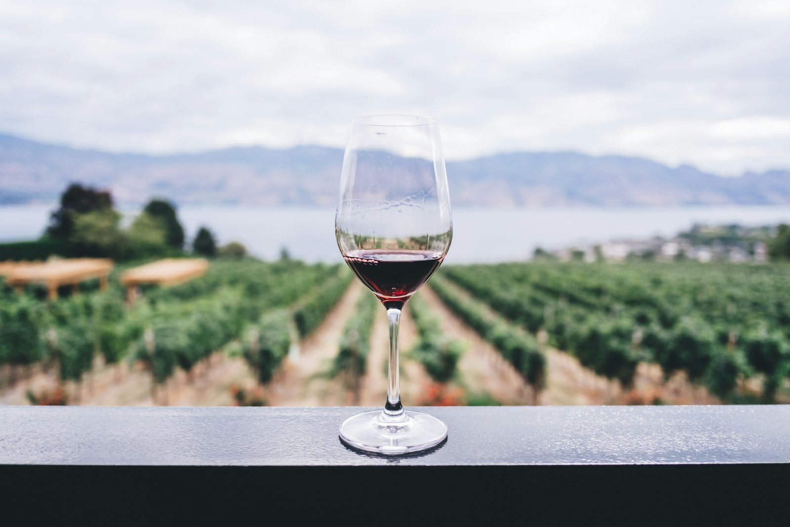 Weinberge an der Nahe