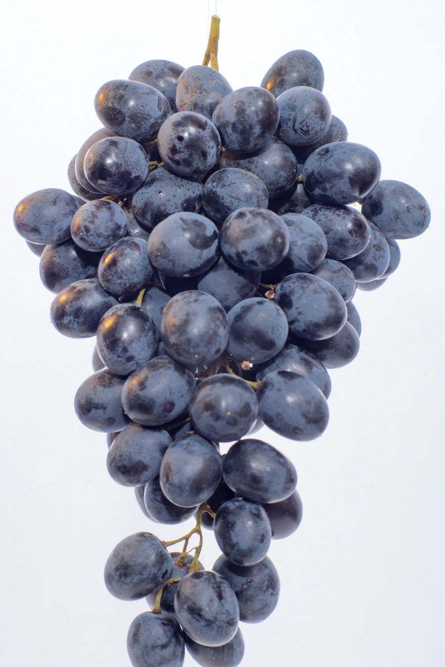 Rote Trauben