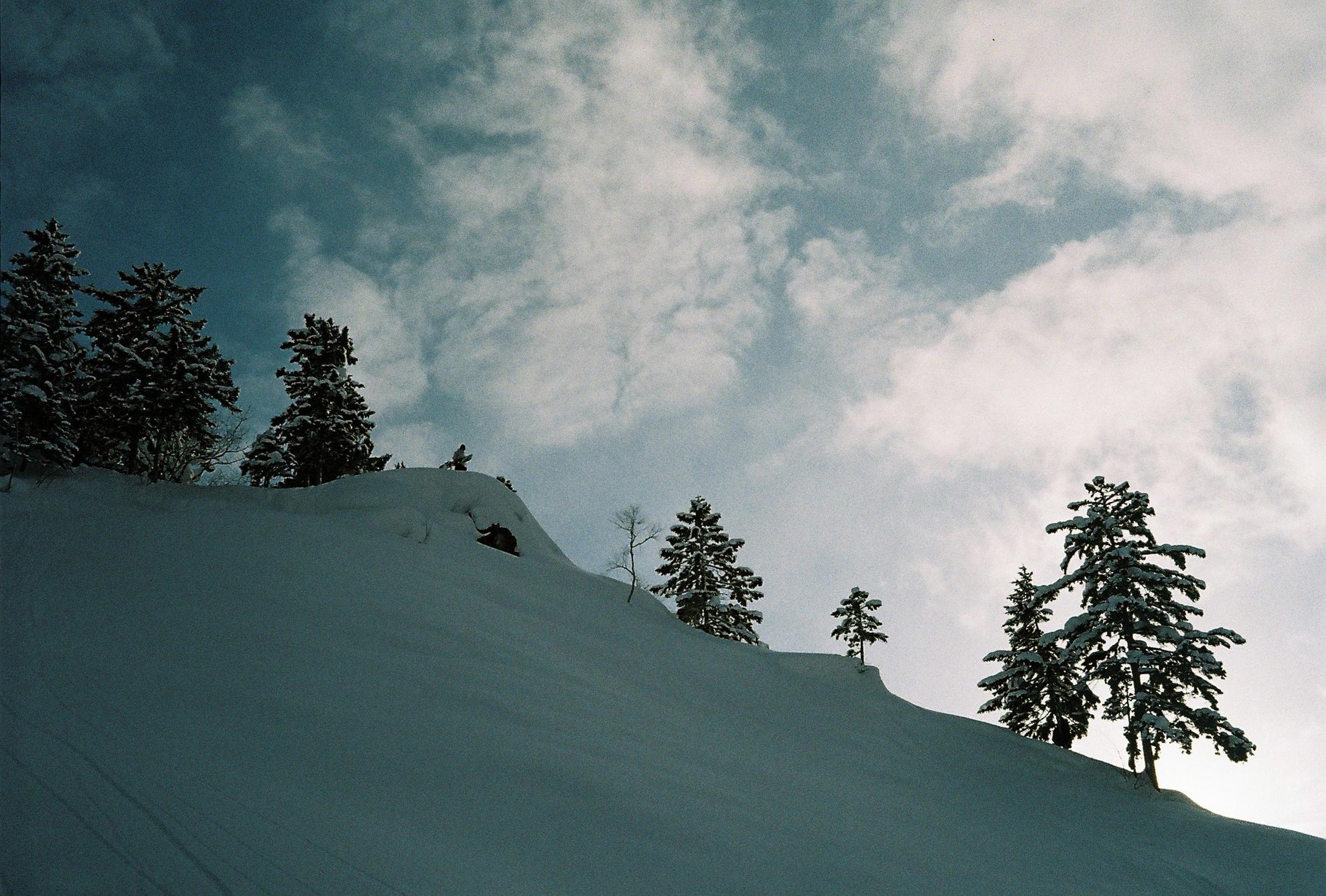 Backcountry snowboarding and skiing.