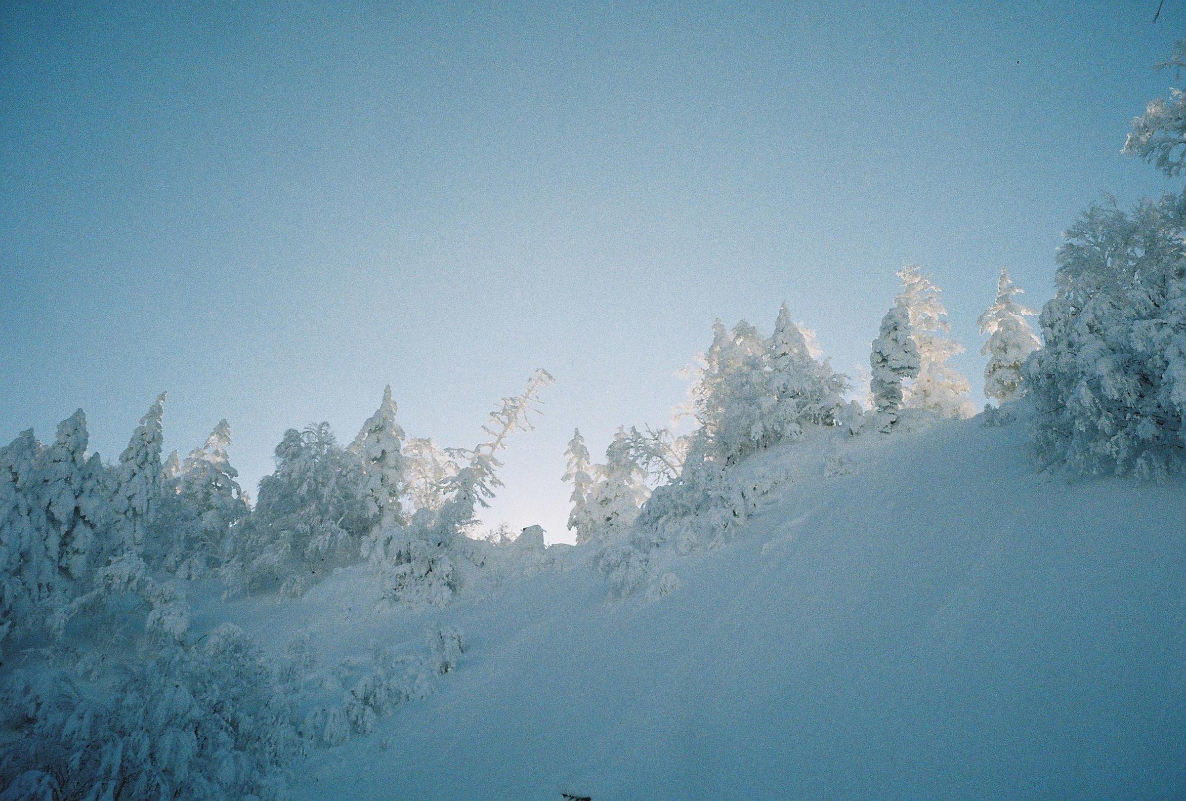 Japan backcountry snowboarding and skiing.