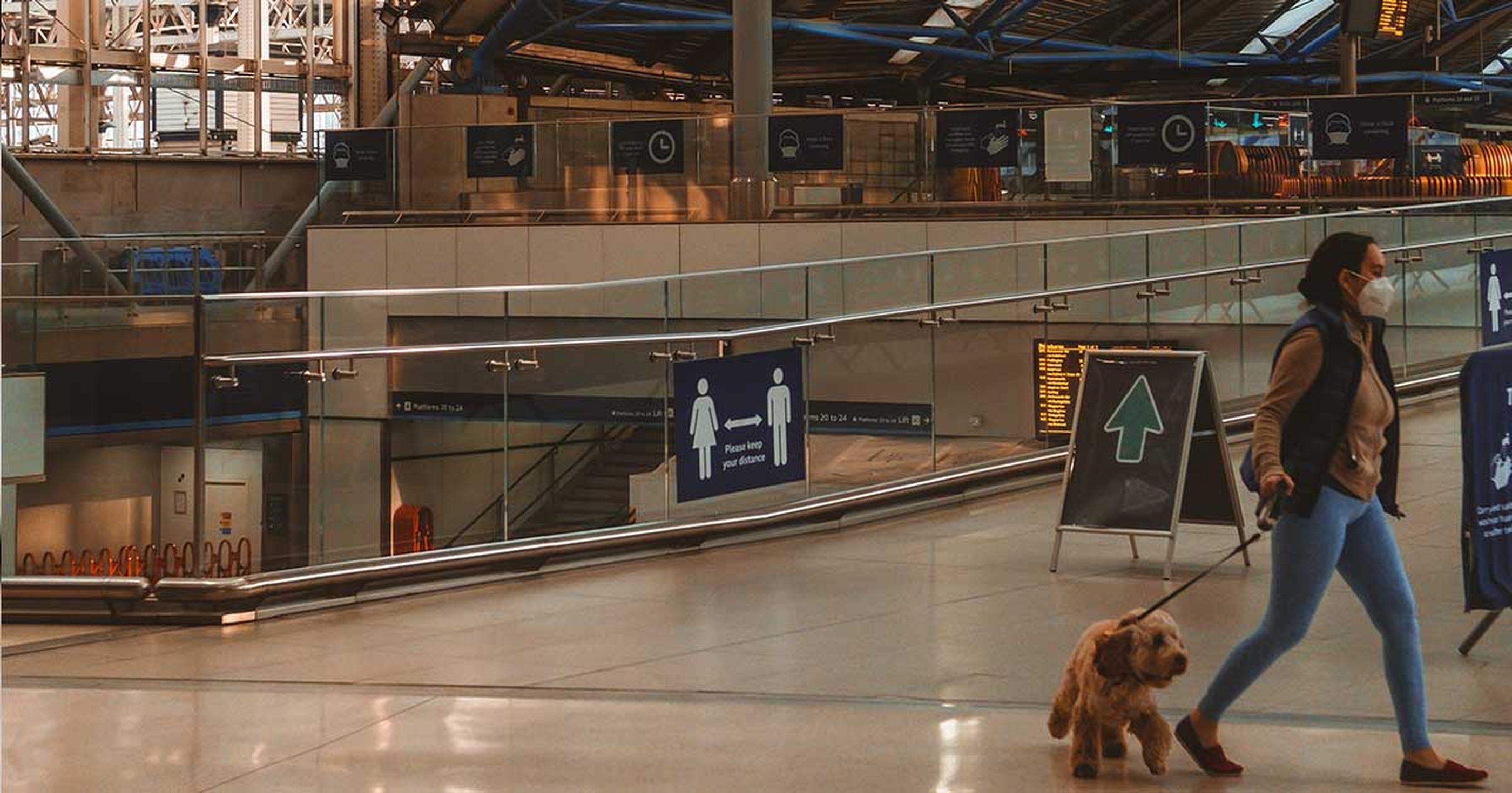Wie versüßen Hunde die Wartezeit bei Flugstreichungen? Flugrecht