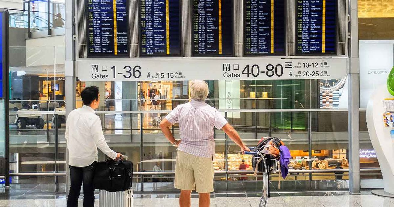 Flugverspätung wegen Vogelschlag: Wer bekommt Entschädigung? Flugrecht