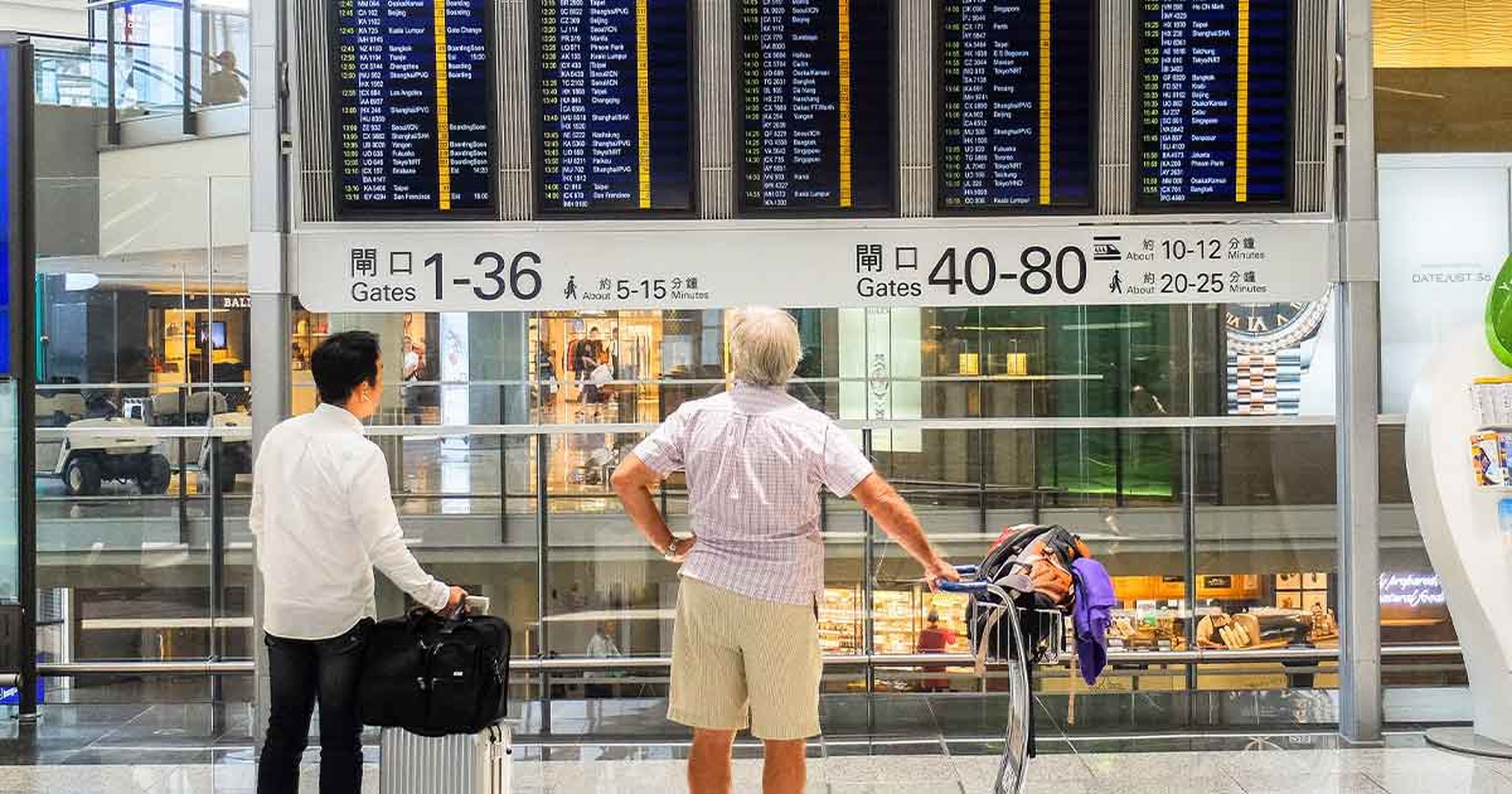 Flugverspätung wegen Vogelschlag: Wer bekommt Entschädigung? Flugrecht