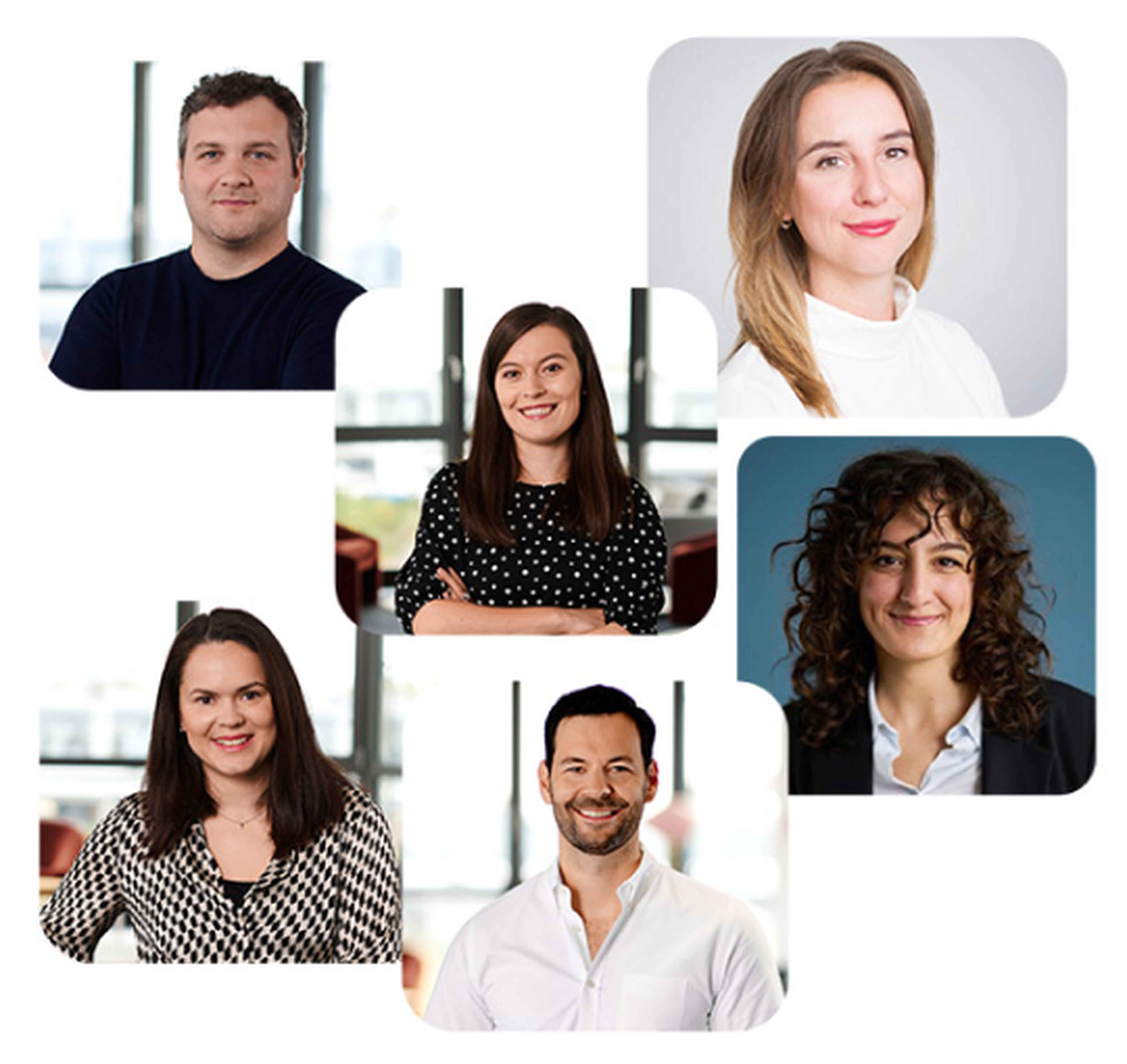 Sechs lächelnde Personen in professioneller Kleidung vor unscharfem Hintergrund in Porträtfotos.