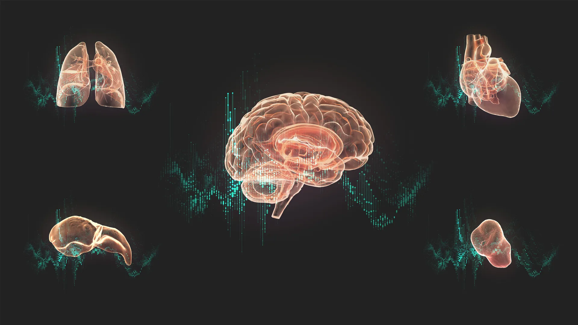 Siemens Healthineers 3D-Visuals