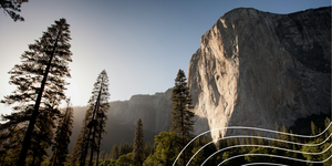 Mountains and trees