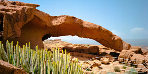 Blog header 5