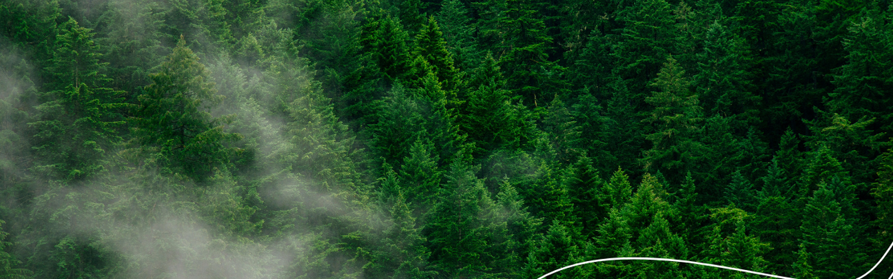Blog header 1