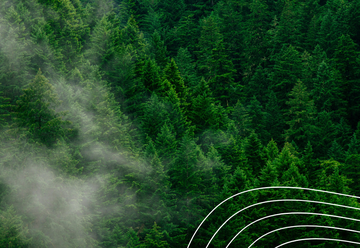 Blog header 1