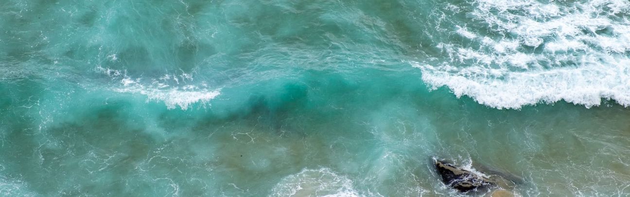 sea birdseye view