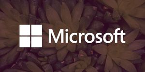Microsoft logo