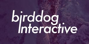 Birddog Interactive logo