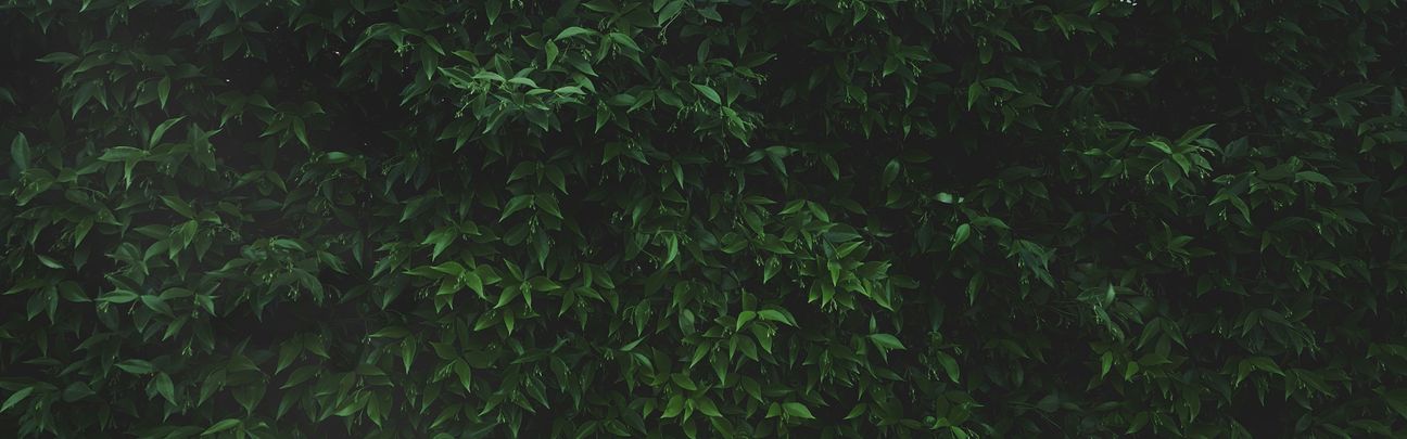 Blog header scenery 4