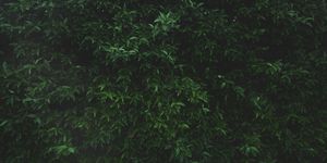Blog header scenery 4