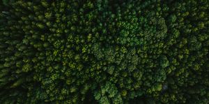 Blog header texture 2
