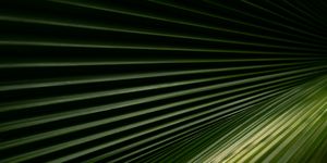 Blog header texture 1