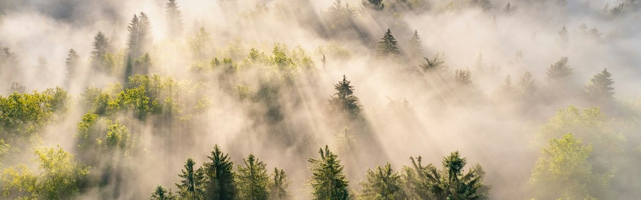 Blog header enviro 2