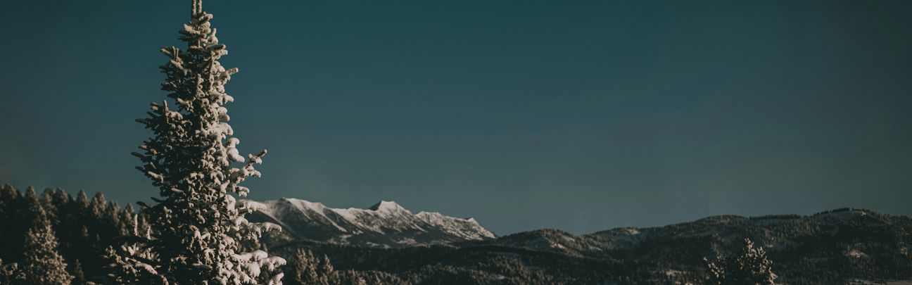 Blog header enviro 1