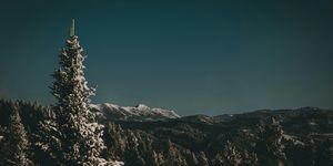 Blog header enviro 1