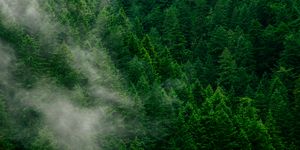 Blog header enviro 6