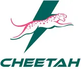 Cheetah logo