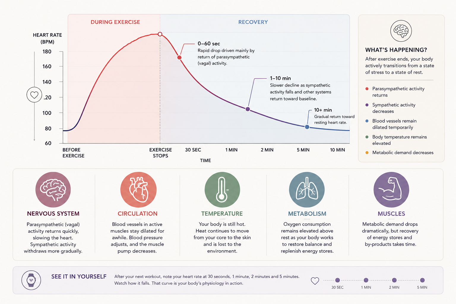 Why Does Your Heart Keep Racing After Exercise?