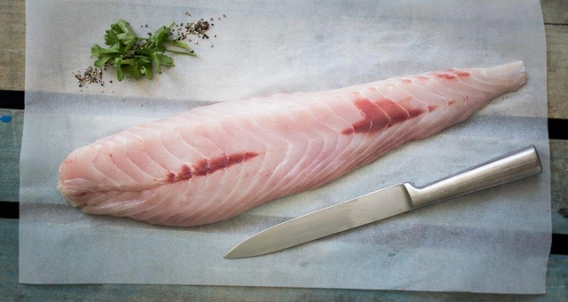 Groper Fillet