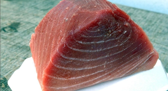 Tuna 074 Field Trip Aucklandcoromandel