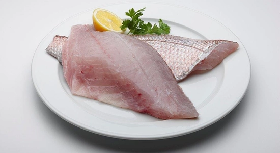 Snapper Fillets