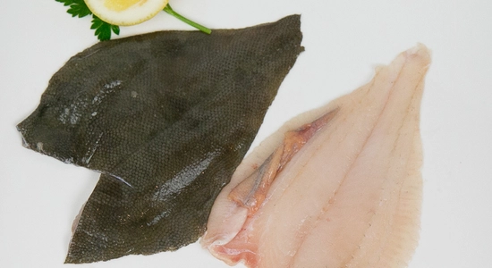 Flounder