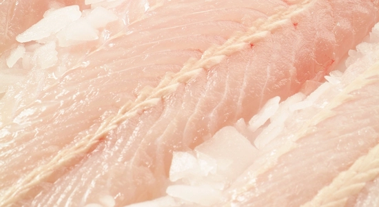 026 Hoki Fillet