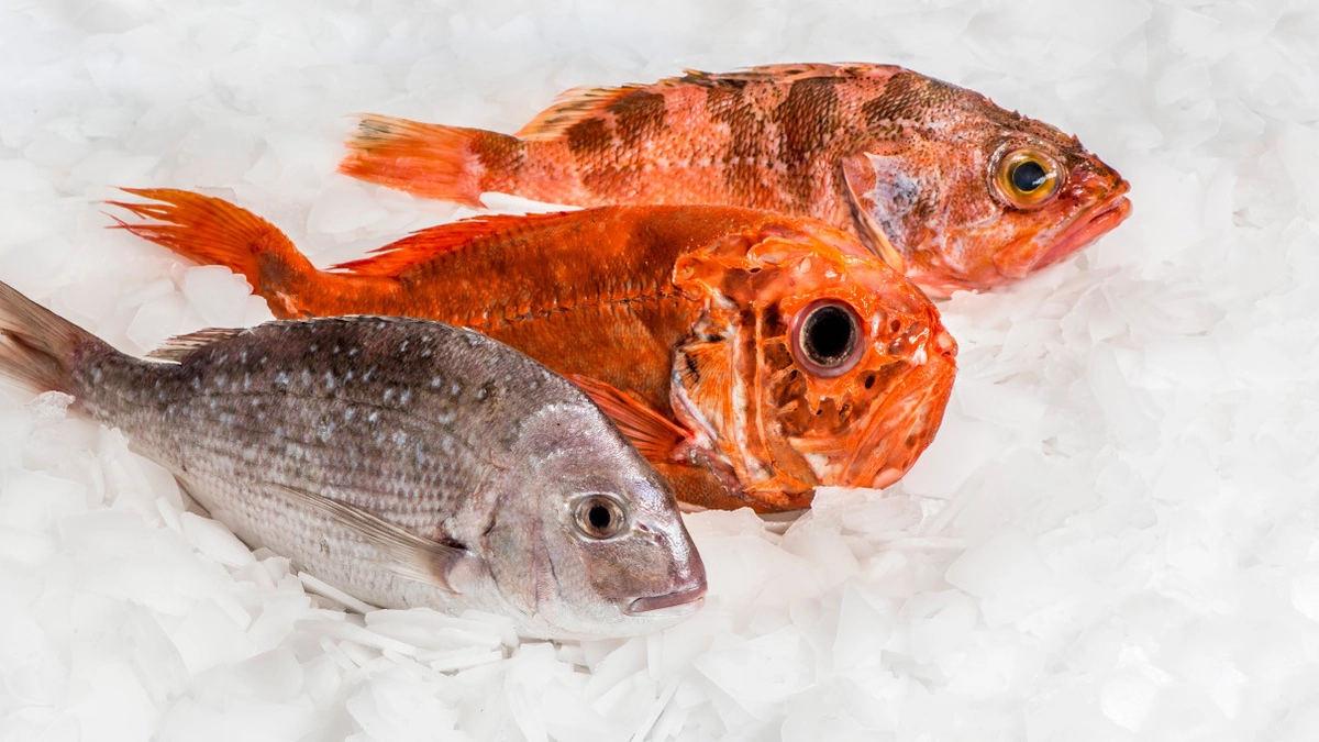 Banners Seafood