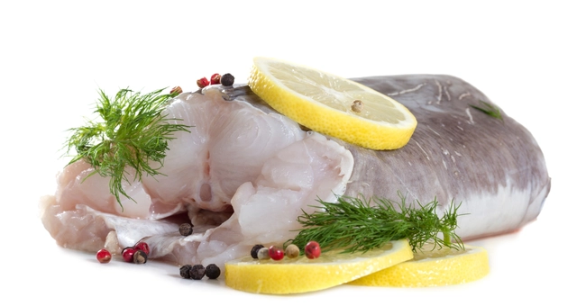 Shutterstock 221049349 Congereel