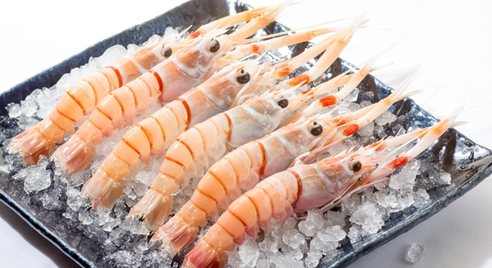 Talleys Scampi Aug16 044
