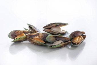 Whole Greenshell™ Mussel