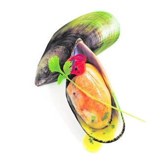 Half shell Greenshell™ Mussel