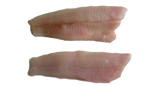 Butterfish Fil