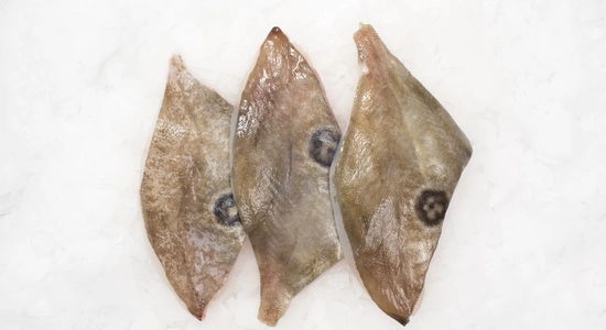 John Dory Fillet
