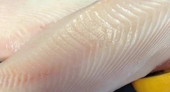 Rays Bream