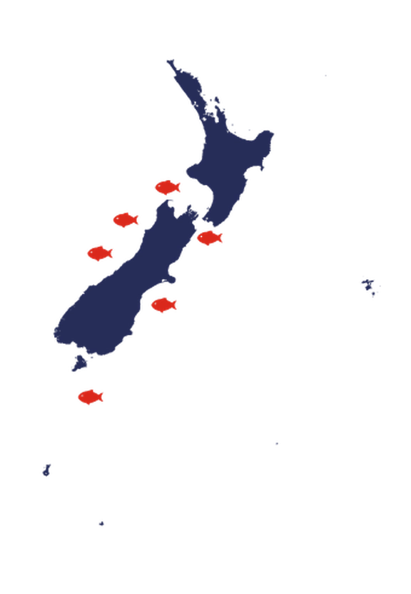 34 Tarakihi Fa
